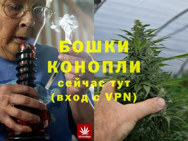 spice Каменка