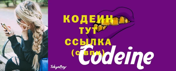 трава Инта