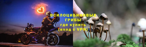 spice Каменка