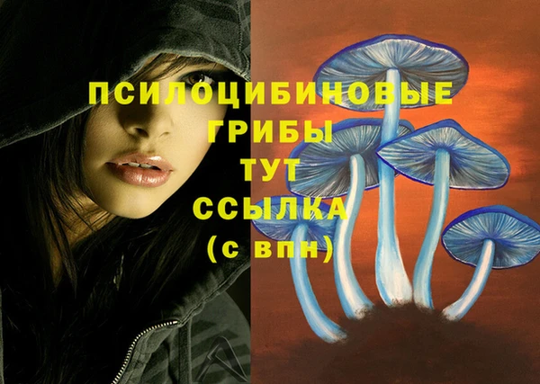 гидропоника Каменск-Шахтинский