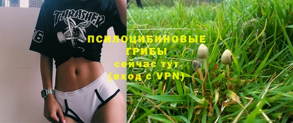 гидропоника Каменск-Шахтинский