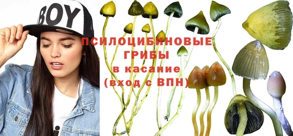 эйфоретик Зеленодольск