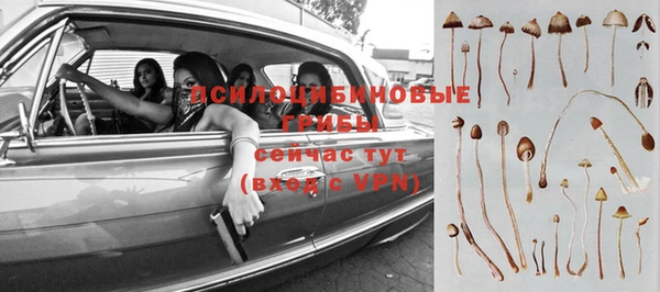 марки nbome Инсар