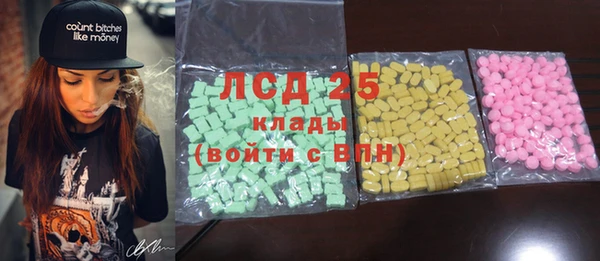 PSILOCYBIN Иннополис