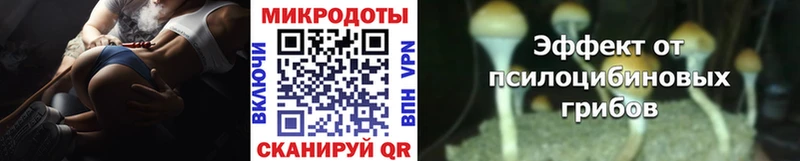 купить наркоту  гидра ONION  Галлюциногенные грибы Cubensis  Кириллов 